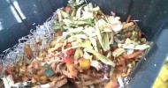 Worm Bin | Vermicomposting